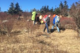 c0bae754-d752-11e5-b3de-22000b078648-IMG_0966