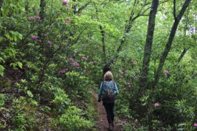 Gail along the Appalachian Trail near Wilson Creek.