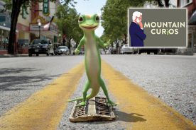 The GEICO gecko was the star of an ad that played on the two-state nature of Bristol, Tennessee-Virginia’s State Street, the center of which is the border between the two states.