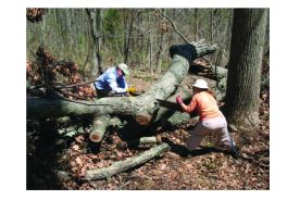 c1cfc402-37bf-11e6-8a98-129cbb969ec3-NPSVolunteerHours