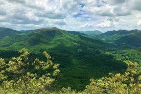 The view from Paddy Mountain is only part of what will be preserved at The Paddy Mountain Preserve.
