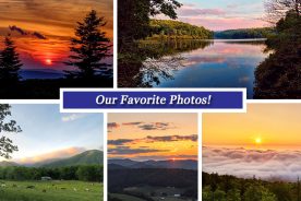 c292096c-36ef-11e5-aa52-22000b078648-Collage