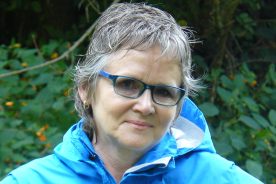 c40d93dc-78d1-11e5-bcaa-22000b078648-P1120941