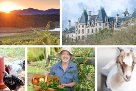 c4bfc7b8-df99-11e4-8b37-22000a4f82a6-Secret-Biltmore