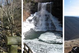 Left to right: Stream along the Cascades trail, Cascades Waterfall, Gail Rheinheimer on the Cascades Trail.
