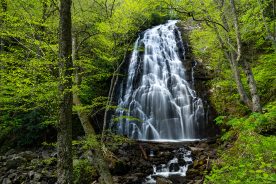 c5e4d330-c1c3-11ed-a375-12b3f1b64877-JTM_4761