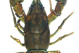 c5edc558-a5d8-11ea-9941-1244d5f7c7c6-AdobeStock_284670306