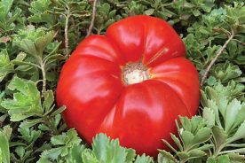 c65a320c-6f81-11ef-87ac-12163087a831-IMG_5628