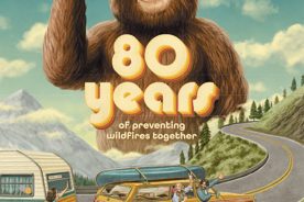 c6633284-3ecc-11ef-9368-12163087a831-Screenshot-2024-05-02-at-11.53