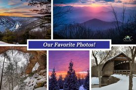 c760d5aa-cb7c-11e5-8abd-22000b078648-Collage