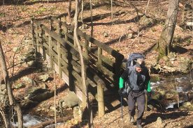 The sturdy bridges are part of what makes the Apple Orchard Falls Trail a beauty.