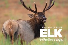 c7ffd75c-5801-11ea-b117-1244d5f7c7c6-2003_MA_Banners7