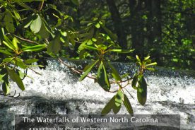 This new App from FlickinAmazing, Inc. is a handy guide to more than 50 Asheville-area waterfalls.