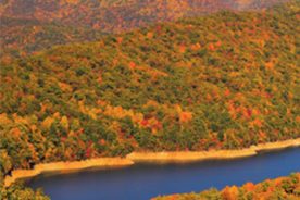 A bird's-eye view of the lake.