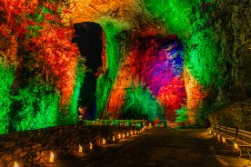 Save the Date for December 8-10 and 15-17 for Luminary Nights at Natural Bridge State Park