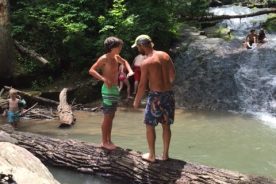 ca7e46b2-20c5-11e5-840e-22000b078648-IMG_0497