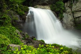 ca7ebcbe-40f1-11ee-b036-12163087a831-JTM_8088