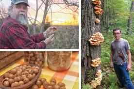 cbdee6ba-470a-11e8-a17a-121bebc5777e-Digger-Jay