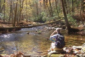 Mary Ellen Hammond pauses on a hike in the Joyce Kilmer-Slickrock Wilderness, which is made up of about 17,000 acres in North Carolina and Tennessee.