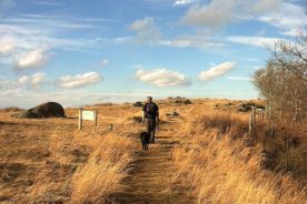 cc19f936-5a9c-11e7-8f6d-0a5fbc963f88-FromEd