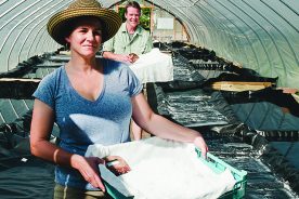 Nancy Bruns and her brother, Lewis Payne, have been harvesting salt since 2014.