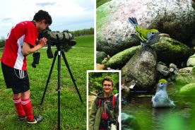Left and inset: Ezra Staengl Bronze Award at the 2018 American Birding Association Young Birder of the Year Competition included an honorable mention for his photography. Right: Ezra got photographically up close and personal with these chestnut-sided warblers.