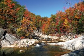 North Carolina’s Wilson Creek is one of the region’s five designated Wild & Scenic Rivers.
