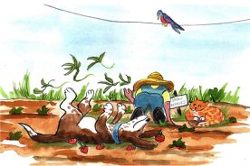 cfff3b2e-37c5-11e6-a0e7-129cbb969ec3-WireGrassWars