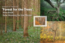 d09a631e-a3a5-11eb-9541-1244d5f7c7c6-2103_MA_BRCBanners7