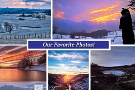 d1abde88-d0fe-11e5-975a-22000b078648-Collage