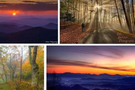 d20154b2-7182-11e4-98b5-22000a4f82a6-Collage