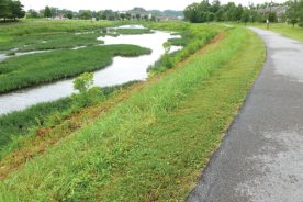 The West Prong of the Little Pigeon River flanks the greenway.