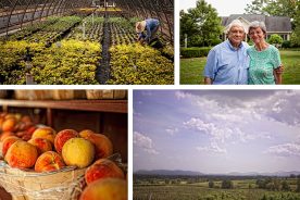 d3ee8224-4510-11e5-a135-22000b078648-SaundersFarm