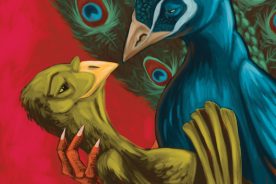 d4c7003e-e53f-11e5-a68f-22000b078648-kevin_the_romantic