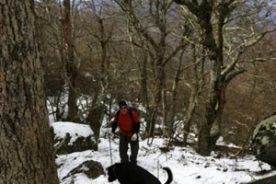 Kurt and Cookie like snow, especially in early November.