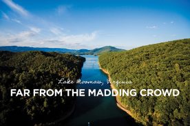 What Lake Moomaw offers today is, at least for one writer, “wildness on its own mountain terms.”