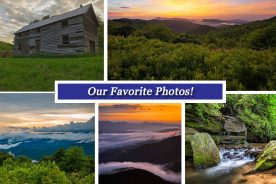 d652e2ec-3180-11e5-b820-22000b078648-Collage