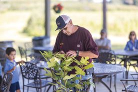 Danny McConnell is a huge fig fan, selling fig jam, fig pan pies and more.