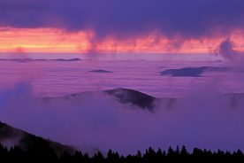 Purple Mountain Majesty. The rising sun again contributes to the drama in Pisgah National Forest, North Carolina.