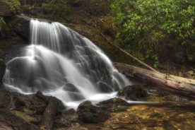 Engine Falls is off of Sams Branch in the Pisgah National Forest.  This branch is very similar to Flat Laurel Creek though a much smaller version.  It is a series of cascades that traverse towards Hwy 215 near the Blue Ridge Parkway.  The photograph taken of Engine Falls is just one of many cascades on this branch.  The name is given from the history behind this location.  The trail towards the cascades is actually an old railroad grade and engines would stop here to get water for their steam engines.  Hence the name Engine Falls.