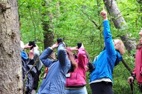 d788f3f2-3fef-11e7-8667-0aea2a882f79-BirdingFestival1