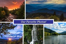 d816f188-8bf0-11e6-a69f-0a161eac8f79-Oct_7_Collage