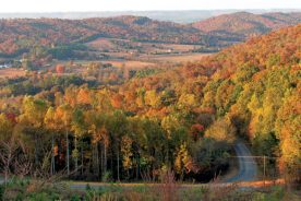 The sun glows in autumn leaves in this view, from Lookout Mountain toward the southern end of Fort Payne.