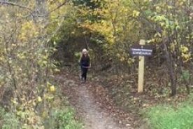 d94a484e-8aa9-11ec-98a6-12f1225286c6-IMG_0733