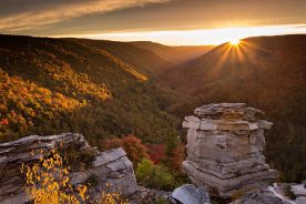 d98688a6-4292-11e5-8a29-22000b078648-005__A2A3999