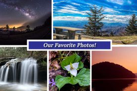 db7ab432-1ad8-11e7-bef2-0aea2a882f79-Collage