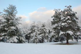 db902162-f785-11e1-ba01-1231394043be-DSC_0333