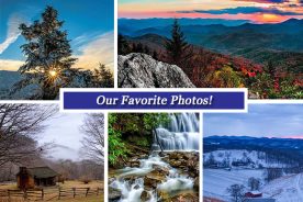 dc526e50-d37e-11e6-9979-0aea2a882f79-Collage