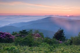 dd7b564a-dfa9-11e4-8900-22000a4f82a6-SD0381