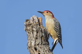 de726c32-5451-11eb-a95b-1244d5f7c7c6-AdobeStock_317850411